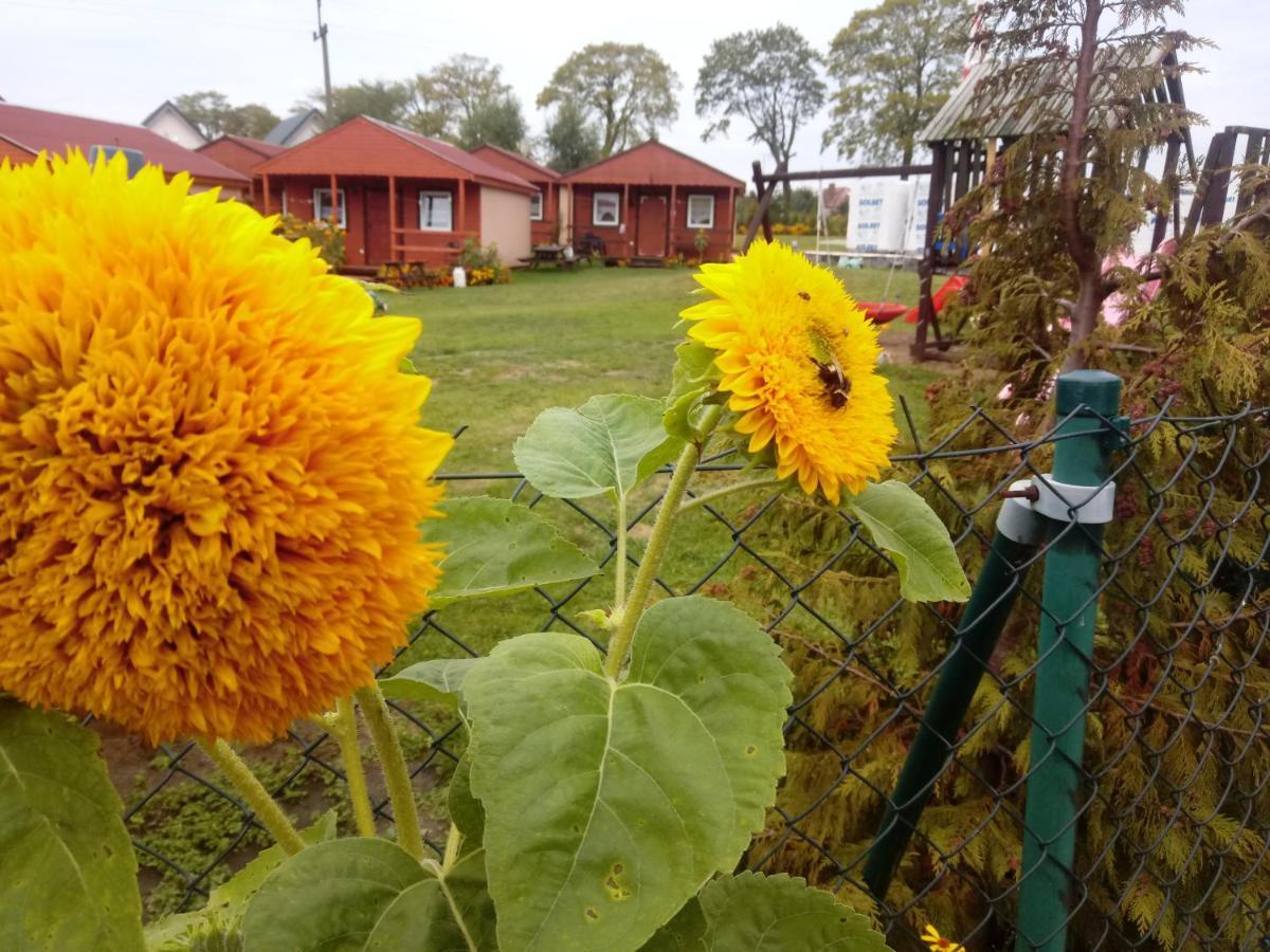 Agroturystyka Domki Eden Sarbinowo Eksteriør bilde